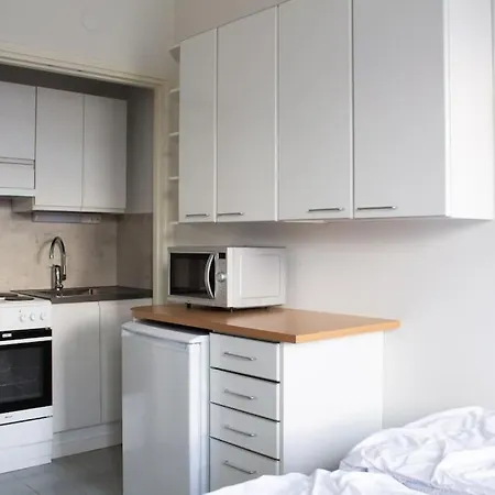 Top Floor Studio-Apartment In Kruununhaka